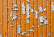 Abblätternde Farbe an einem Metall-Container