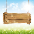 Spring vector background  with wooden sign