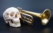 Photo: human scull and trumpet human scull and trumpet