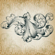 Vector vintage baroque floral scroll pattern