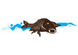 carp fish, vector illustration
