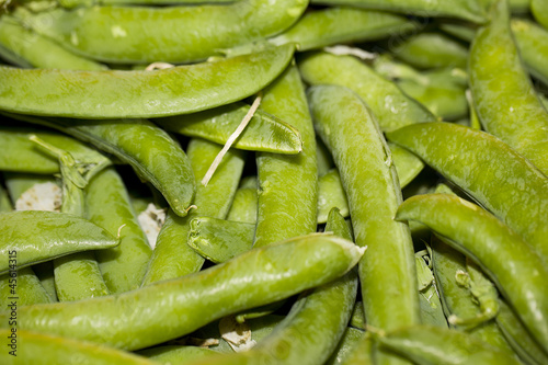 Photo: legume legume