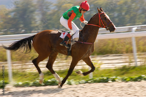 Photo: Horse racing Horse racing
