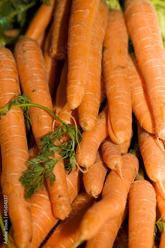 Photo: legume legume