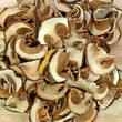 Trockenpilze