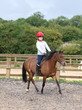 Girl On Horse
