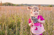 Photo: little girl with cats in basket outdoor little girl with cats in basket outdoor