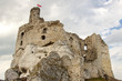 Ruins of Mirow Castle.