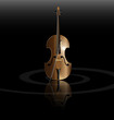 string instrument