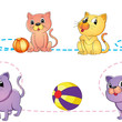 cats and ball
