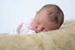 Newborn