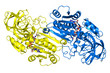 Alcohol dehydrogenase