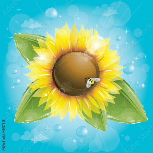 Vector: Beautiful sunflower and green leaves against blue sky Beautiful sunflower and green leaves against blue sky
