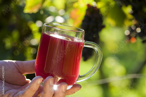 Photo: Fruit Wine - Traubenmost Fruit Wine - Traubenmost