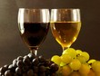Tinto y Blanco