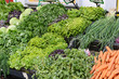 Fresh and organic vegetables at farmers market