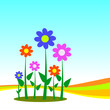 Vector: flower for background flower for background