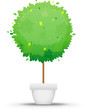 Tree icon