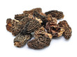 morchella, trocken