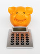 Sparschwein und Taschenrechner