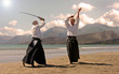 aikido in japon