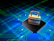 Secured microchip