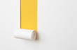Photo: paper label paper label