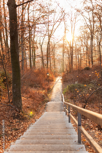 Photo: Herbstlicher Waldweg Herbstlicher Waldweg