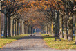 Colorful autumn park scenery with ducks