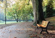 Au parc