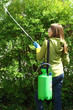 Gardening - spraying plants