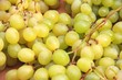 White grapes