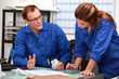 workers,  male, female, workplace