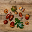 Photo: Autumn background with acorns and leaf Autumn background with acorns and leaf