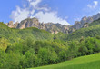 montagnes en fond de collines de feuillus