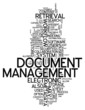 Word Cloud "Document Management"