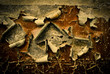 aged paint on the wall