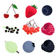 set of berries