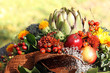 Photo: blumenstrauß mit artischocke blumenstrauß mit artischocke