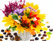 Bunt ist der Herbst