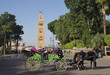 calèche au maroc