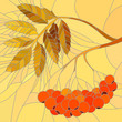 Vector mosaic illustration of rowan branch.