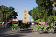 calèches au Maroc