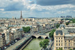 View of Paris form the Notre Dame.