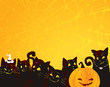 Halloween background with black cats and pumpkin.