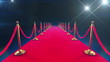 Red Carpet Event. Looped animation of a walk down