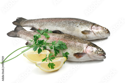 Photo: rainbow trouts with lemon and parsley rainbow trouts with lemon and parsley