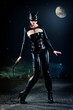 Catwoman im Mondlicht