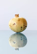 Pomegranate  with reflection