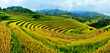 Tarraces Rice filed, Yen bai, viet nam